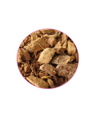 Galangae • 50 gram