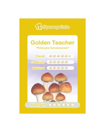 Golden Teacher • Sporeprint