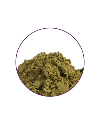 Kratom 15X Extract • 1 gram