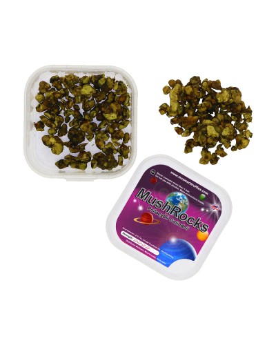 MushRocks • 15 gram