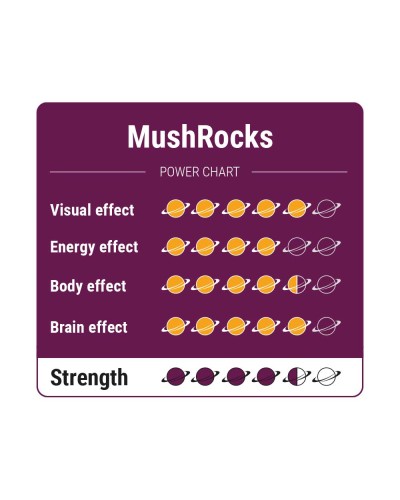 MushRocks • 15 gram