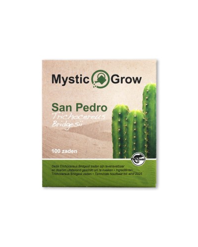 San Pedro T bridgesii zaden • 100 stuks