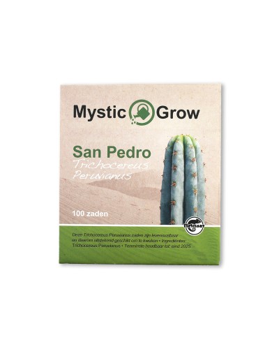 San Pedro T. Peruvianus seeds • 100 stuks