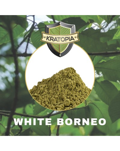 White Borneo Kratom • 50 gram
