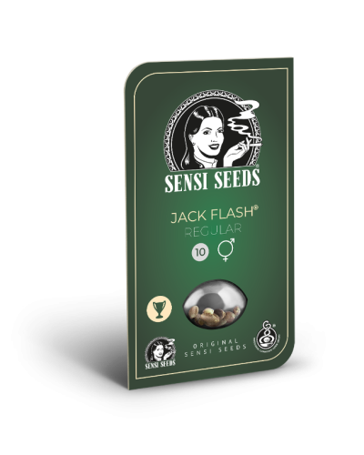 Jack Flash • Standaard