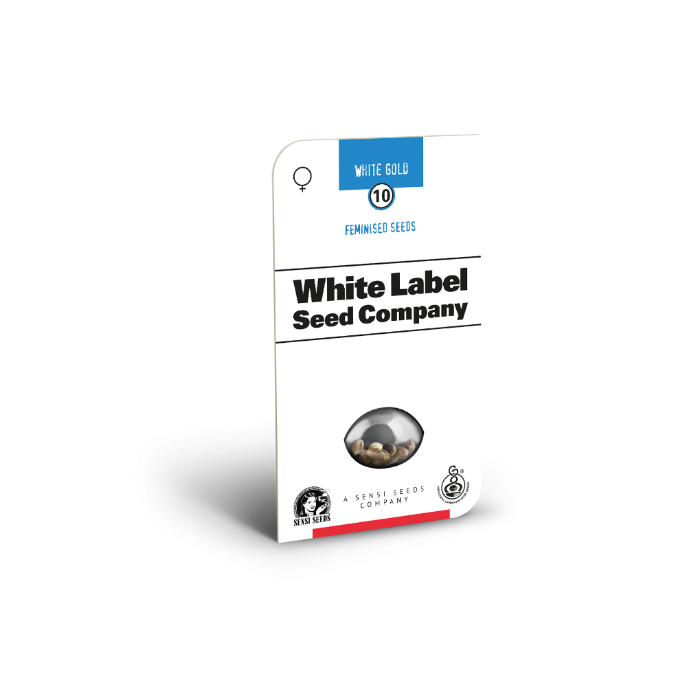 White Gold • Gefeminiseerd