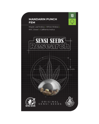 Mandarin Punch • Gefeminiseerd