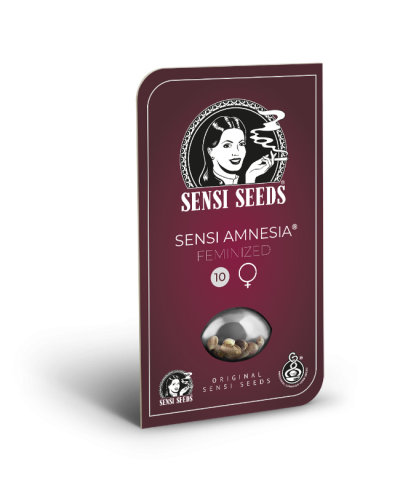 Sensi Amnesia • Gefeminiseerd