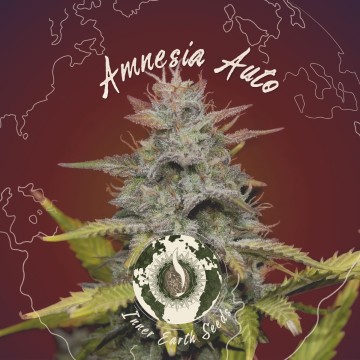 Autoflowering