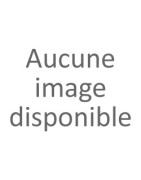 Sauge Blanche Encens